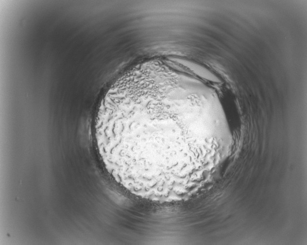 X0000070230398200606232202