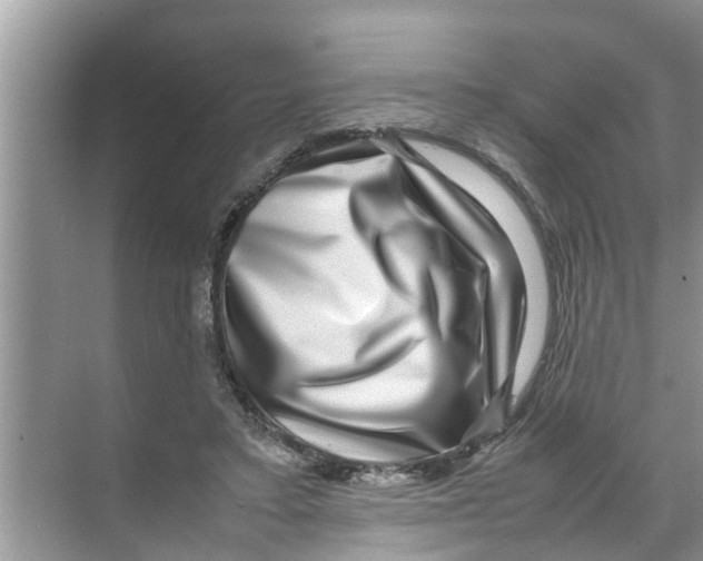 X0000070230403200606232202