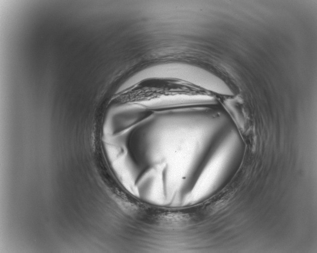 X0000070230404200606232202