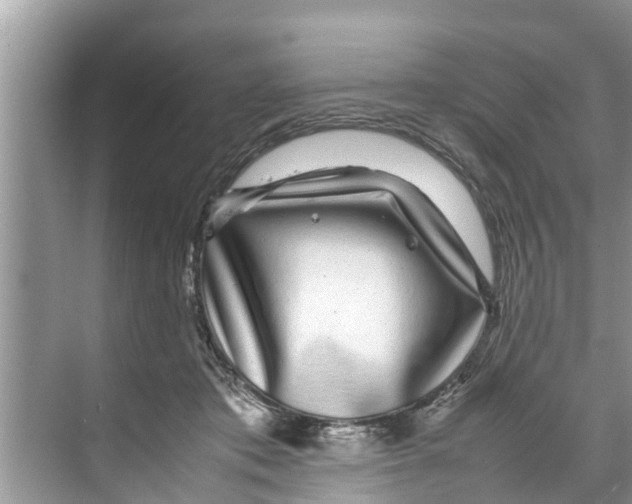 X0000070230413200606232202