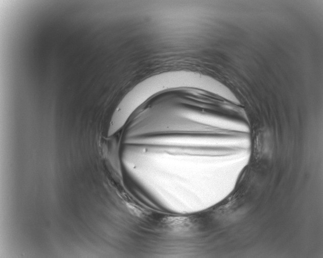 X0000070230424200606232202