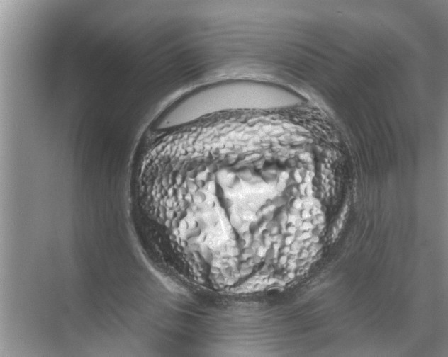 X0000070230438200606232201