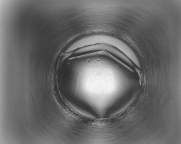 X0000070230444200606232201