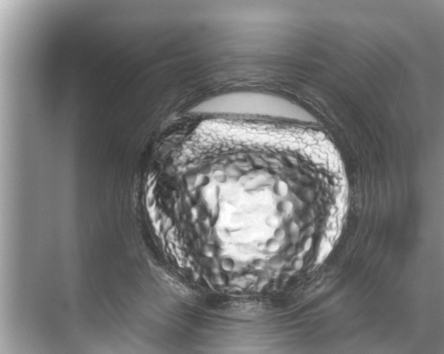 X0000070230458200606232201