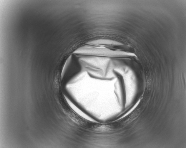 X0000070230460200606232201