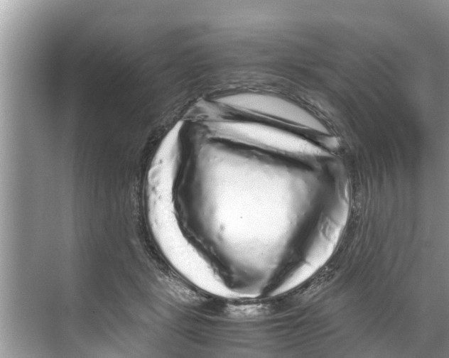 X0000070230461200606232201