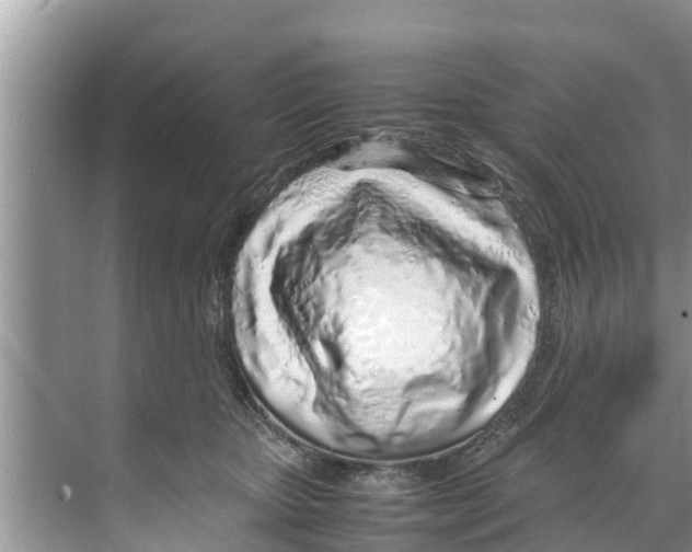 X0000070230467200606232201