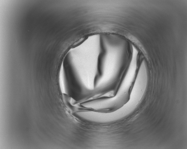 X0000070230481200606232201