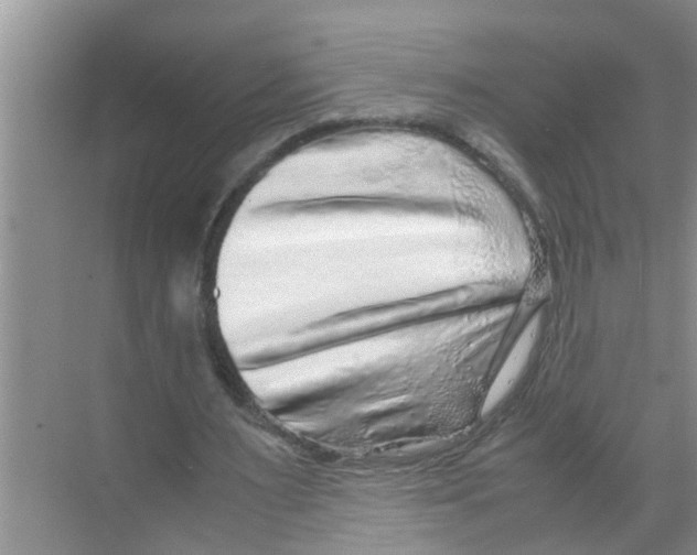 X0000070230483200606232201