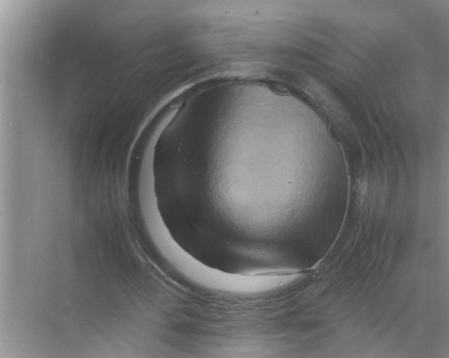 X0000070230484200606232201