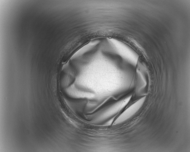 X0000070230493200606232201
