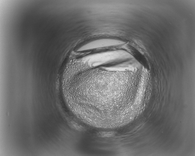 X0000070230495200606232201
