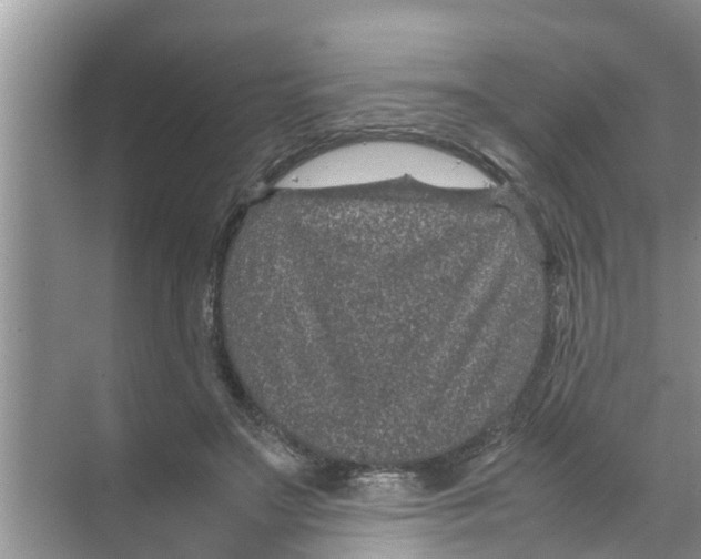 X0000070230499200606232201