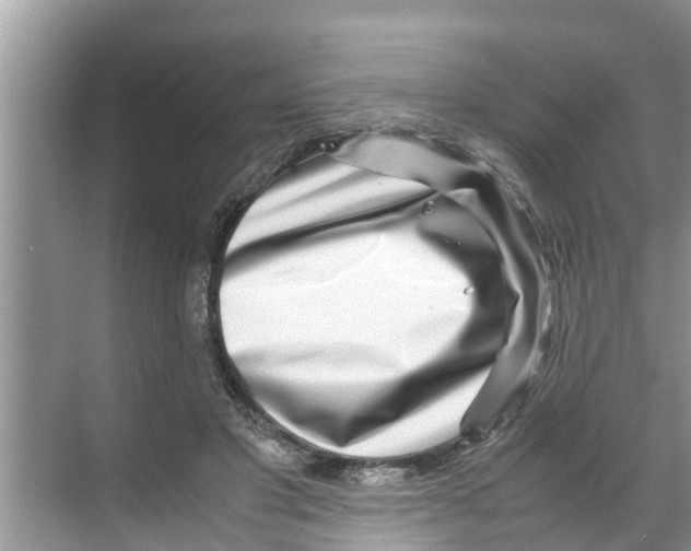 X0000070230501200606232201
