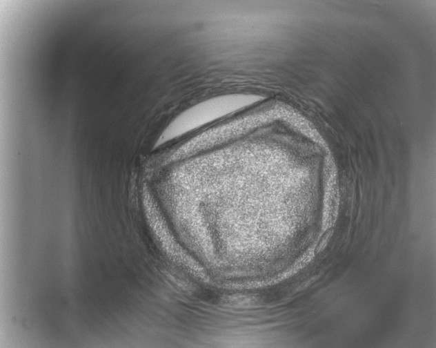 X0000070230511200606232200