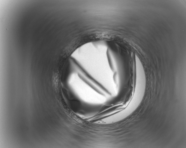 X0000070230513200606232200