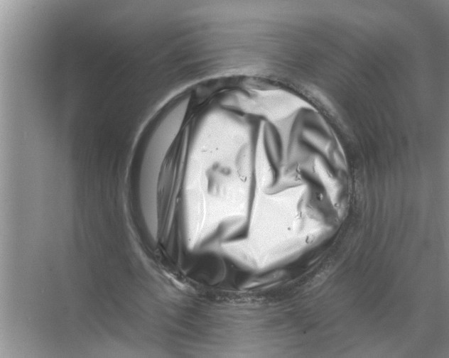X0000070230532200606232159