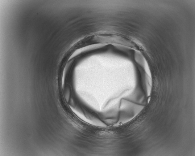 X0000070230535200606232159