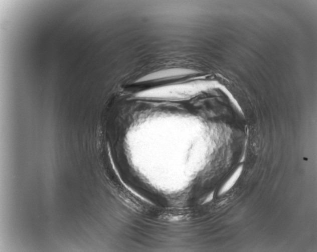 X0000070230563200606232200