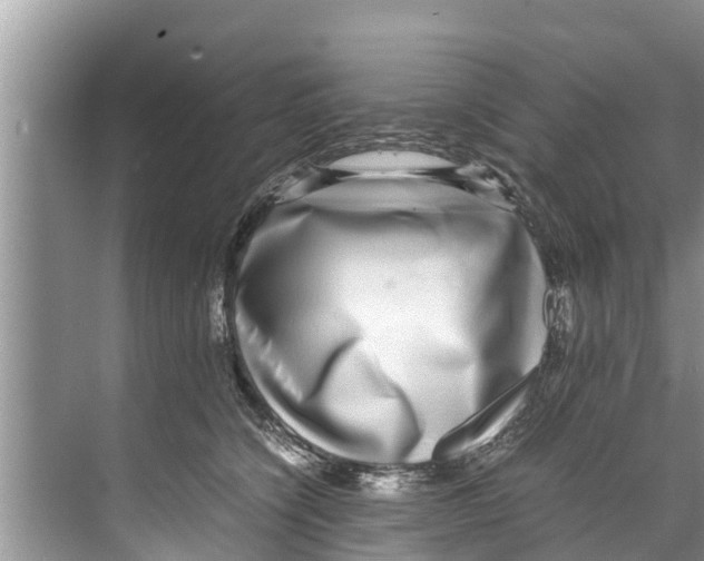 X0000070230564200606232200