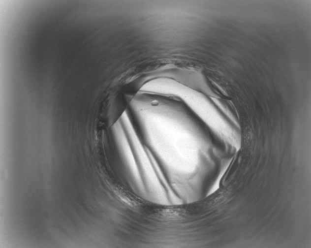 X0000070230566200606232200