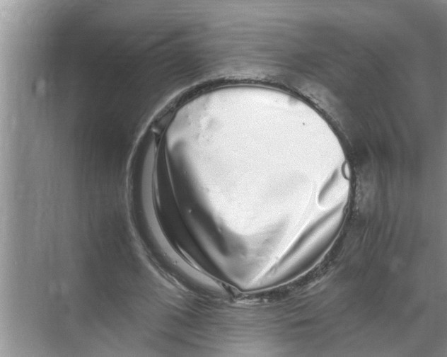 X0000070230584200606232159
