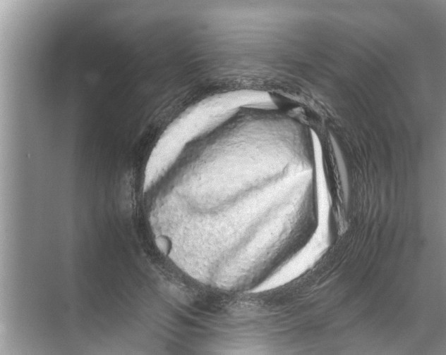 X0000070230594200606232159