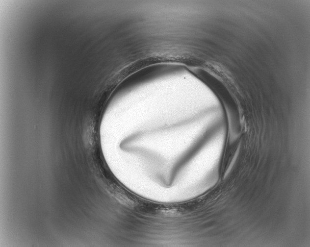 X0000070230596200606232159