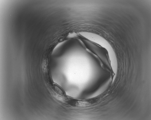 X0000070230605200606232159