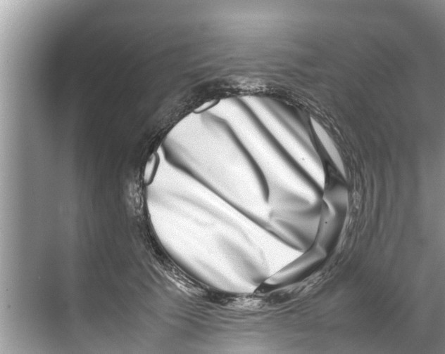 X0000070230609200606232159