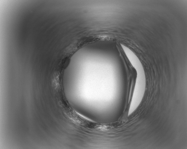 X0000070230611200606232159