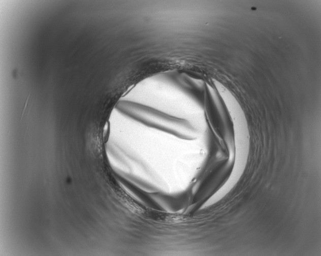 X0000070230613200606232159