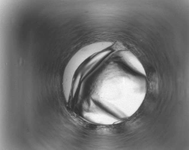 X0000070230620200606232159