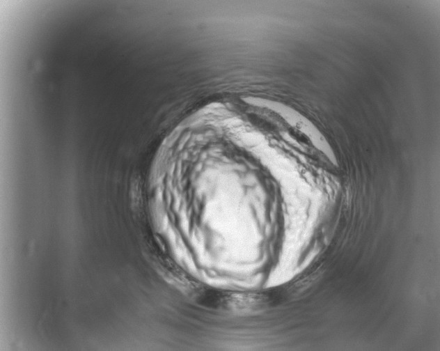 X0000070230623200606232158
