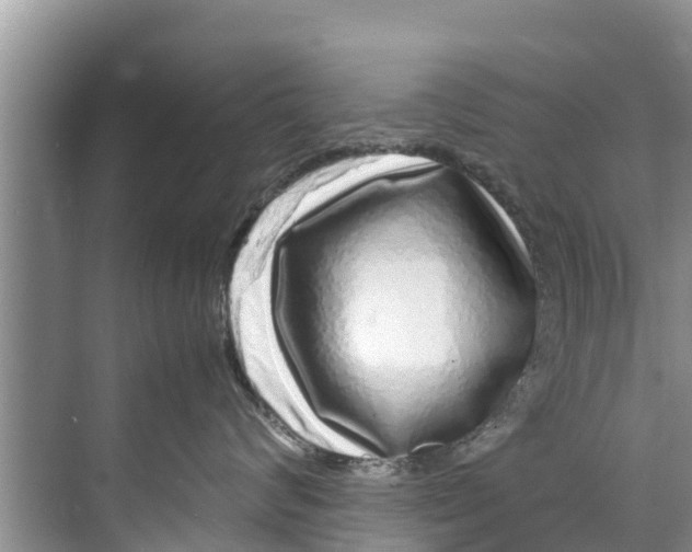 X0000070230624200606232158