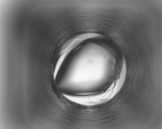 X0000070230647200606232158