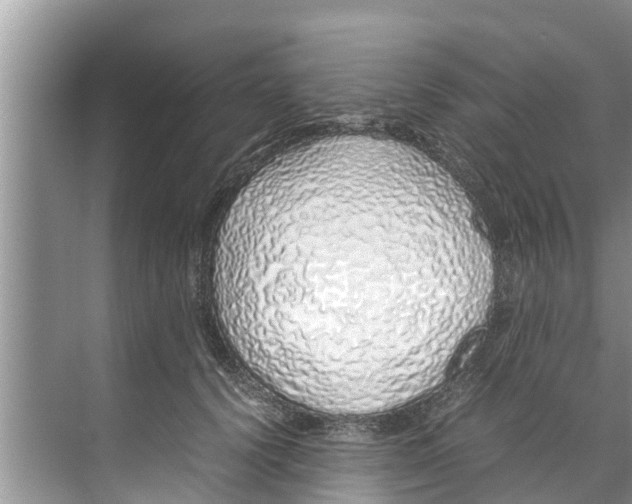 X0000070230656200606232158