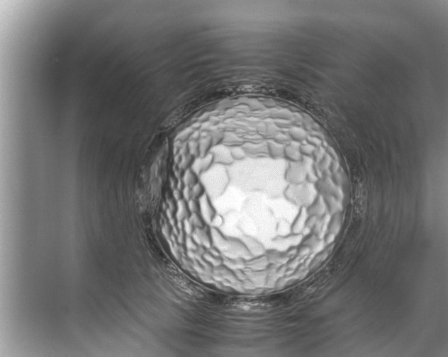 X0000070230657200606232158