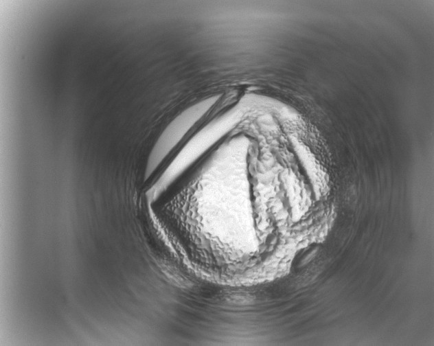X0000070230658200606232158