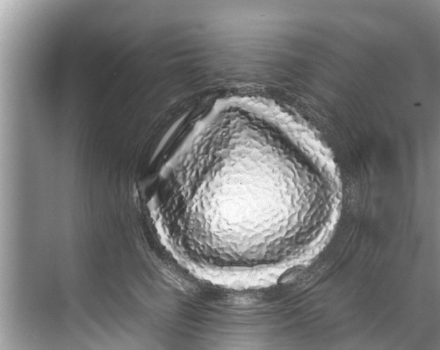 X0000070230662200606232158