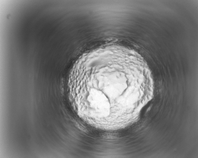 X0000070230664200606232158