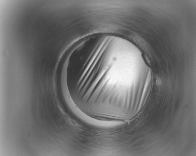 X0000070230676200606232158
