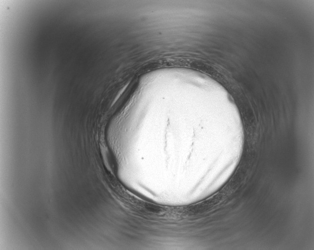 X0000070230703200606232157