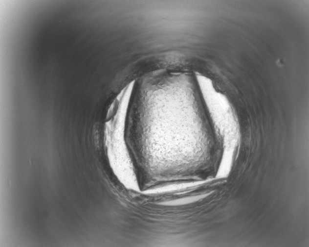 X0000070230715200606232157