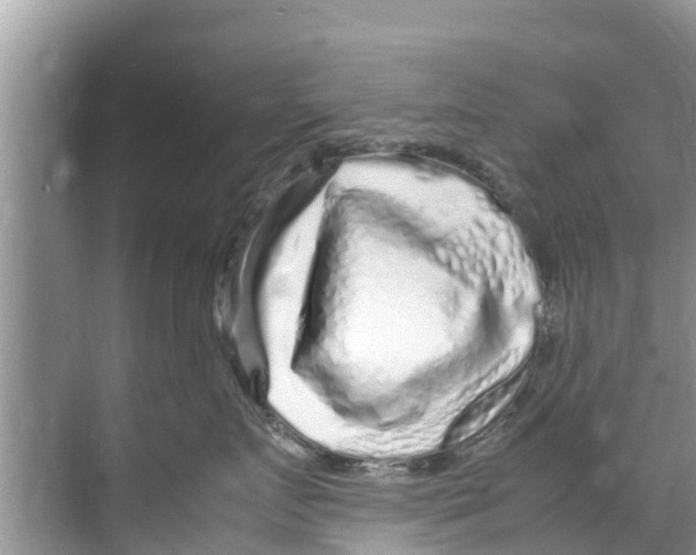 X0000070230719200606232157