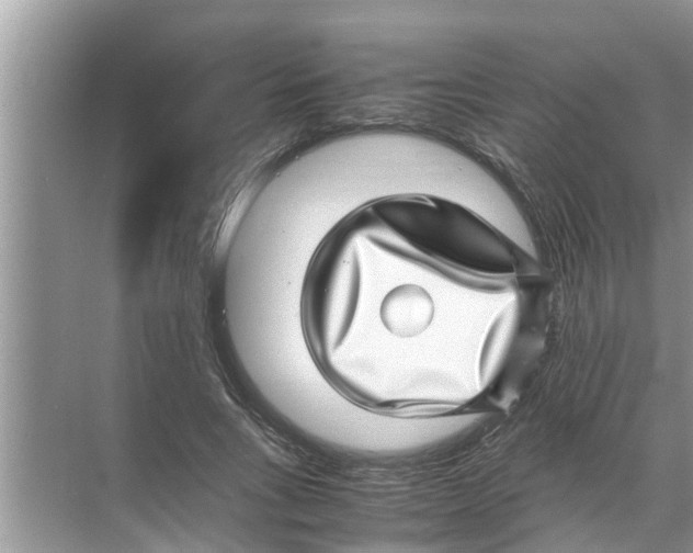 X0000070230735200606232156