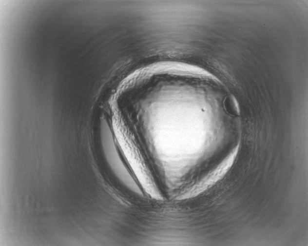 X0000070230738200606232156