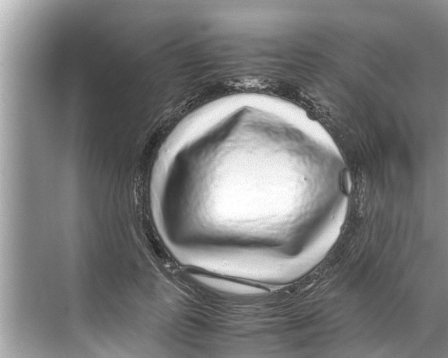 X0000070230747200606232156