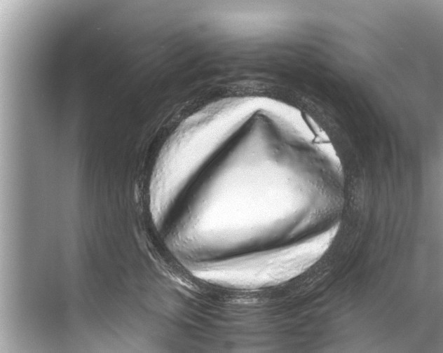 X0000070230759200606232157