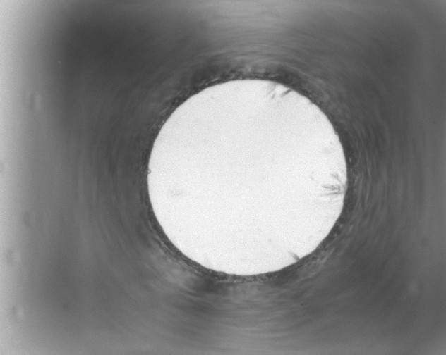 X0000070230769200606232156
